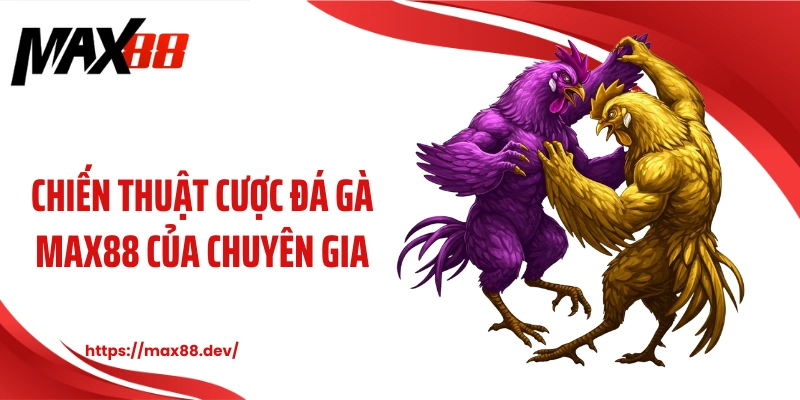 Chiến thuật cược đá gà MAX88 của chuyên gia